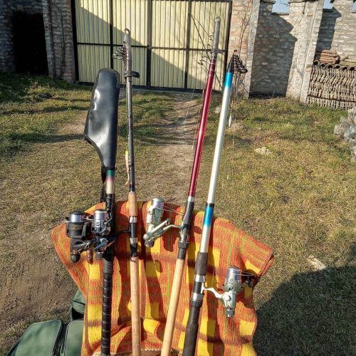 331008254_722784589453850_917664308067517730_n